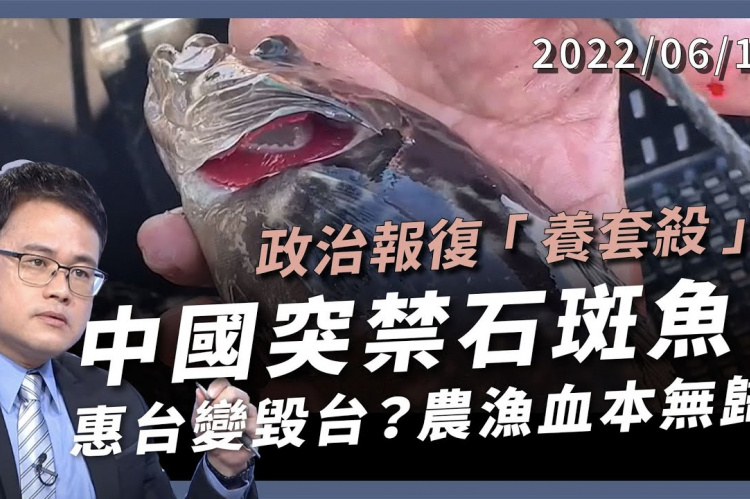 Embedded thumbnail for 中國突禁石斑魚！政治報復養套殺？ 