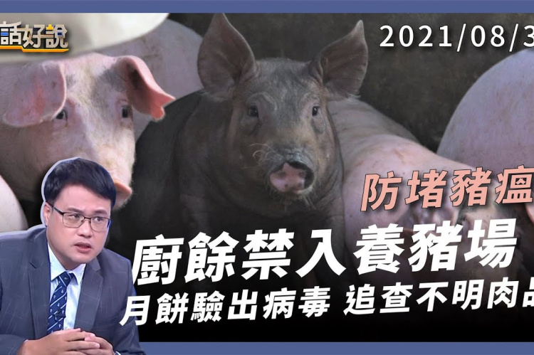 Embedded thumbnail for 非洲豬瘟強勢來襲　全國禁止廚餘養豬！
